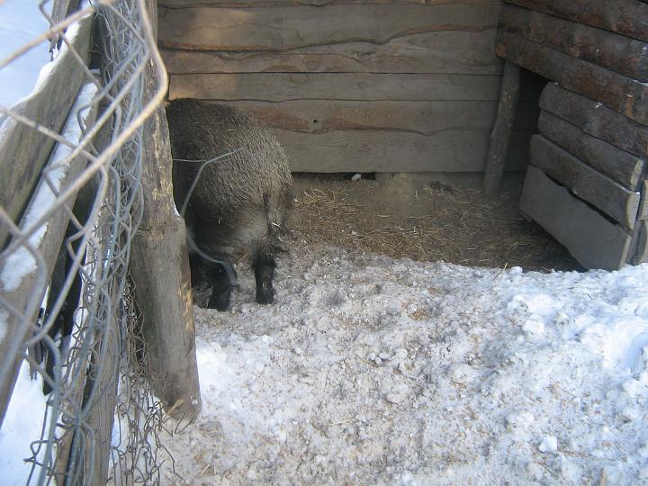 zad 070.jpg